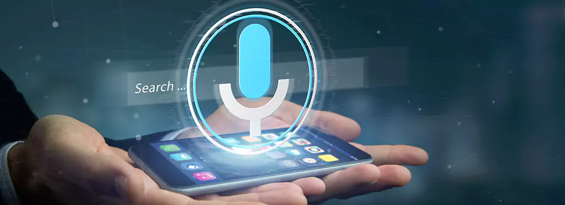 Enhance Security with Voice Recognition Access Systems in Plantation, FL